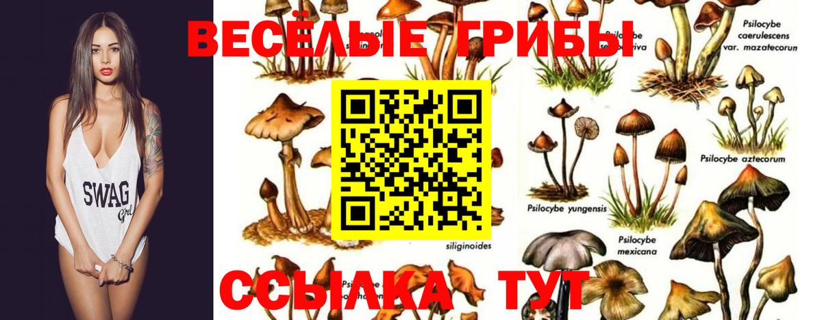 Галлюциногенные грибы MAGIC MUSHROOMS Ставрополь